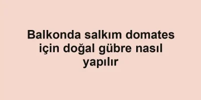 Balkonda salkım domates için doğal gübre nasıl yapılır