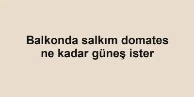 Balkonda salkım domates ne kadar güneş ister