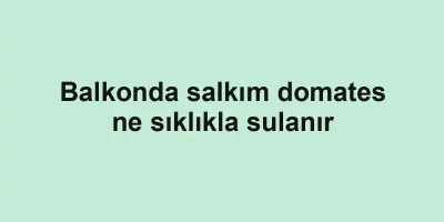Balkonda salkım domates ne sıklıkla sulanır