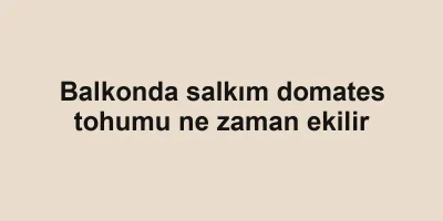 Balkonda salkım domates tohumu ne zaman ekilir