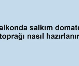 Balkonda salkım domates toprağı nasıl hazırlanır