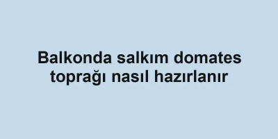 Balkonda salkım domates toprağı nasıl hazırlanır