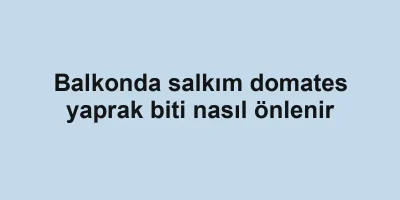 Balkonda salkım domates yaprak biti nasıl önlenir