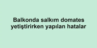 Balkonda salkım domates yetiştirirken yapılan hatalar