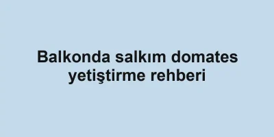 Balkonda salkım domates yetiştirme rehberi
