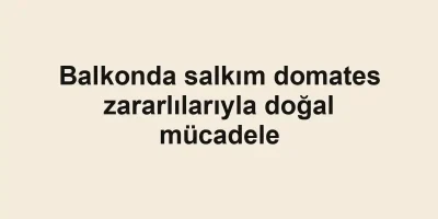 Balkonda salkım domates zararlılarıyla doğal mücadele