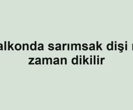 Balkonda sarımsak dişi ne zaman dikilir