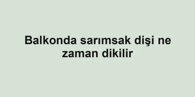 Balkonda sarımsak dişi ne zaman dikilir