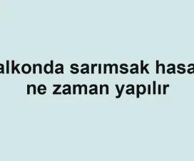 Balkonda sarımsak hasadı ne zaman yapılır