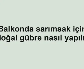 Balkonda sarımsak için doğal gübre nasıl yapılır