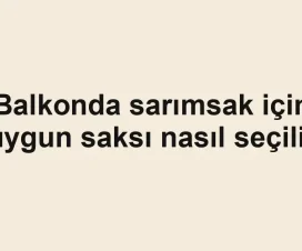 Balkonda sarımsak için uygun saksı nasıl seçilir