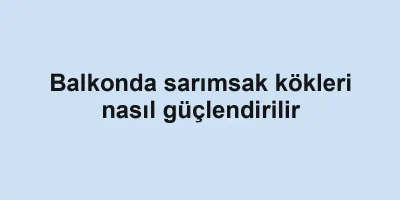 Balkonda sarımsak kökleri nasıl güçlendirilir