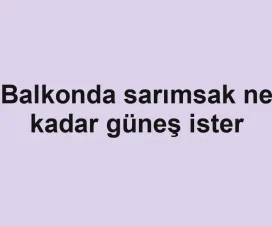 Balkonda sarımsak ne kadar güneş ister