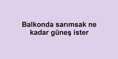 Balkonda sarımsak ne kadar güneş ister