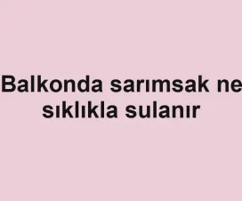 Balkonda sarımsak ne sıklıkla sulanır
