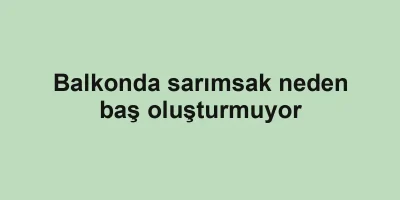 Balkonda sarımsak neden baş oluşturmuyor
