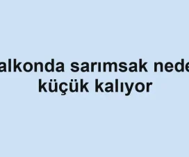 Balkonda sarımsak neden küçük kalıyor
