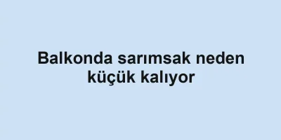 Balkonda sarımsak neden küçük kalıyor