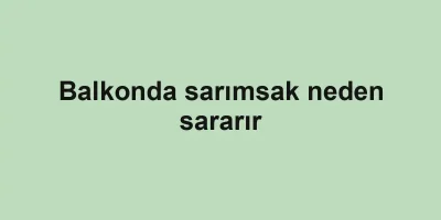 Balkonda sarımsak neden sararır
