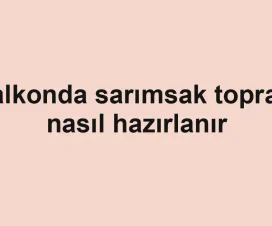 Balkonda sarımsak toprağı nasıl hazırlanır
