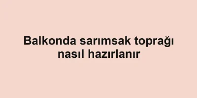 Balkonda sarımsak toprağı nasıl hazırlanır