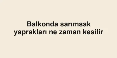 Balkonda sarımsak yaprakları ne zaman kesilir