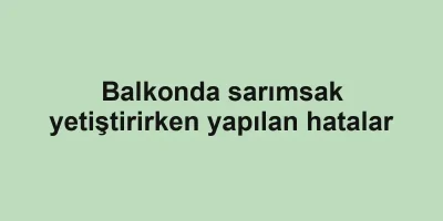 Balkonda sarımsak yetiştirirken yapılan hatalar