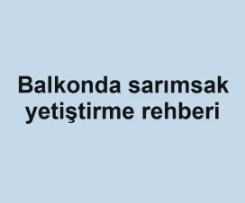 Balkonda sarımsak yetiştirme rehberi