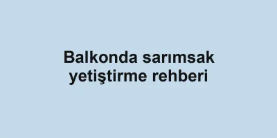 Balkonda sarımsak yetiştirme rehberi