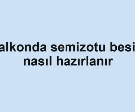 Balkonda semizotu besini nasıl hazırlanır