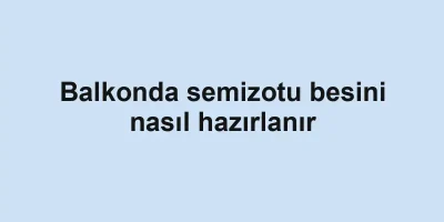 Balkonda semizotu besini nasıl hazırlanır