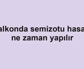 Balkonda semizotu hasadı ne zaman yapılır