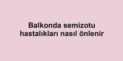 Balkonda semizotu hastalıkları nasıl önlenir