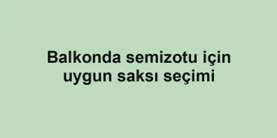 Balkonda semizotu için uygun saksı seçimi