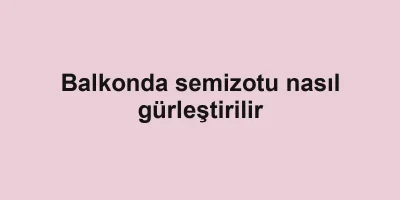 Balkonda semizotu nasıl gürleştirilir