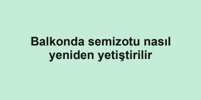 Balkonda semizotu nasıl yeniden yetiştirilir