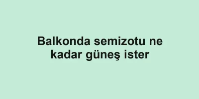 Balkonda semizotu ne kadar güneş ister