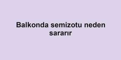 Balkonda semizotu neden sararır