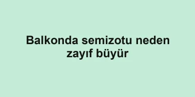 Balkonda semizotu neden zayıf büyür