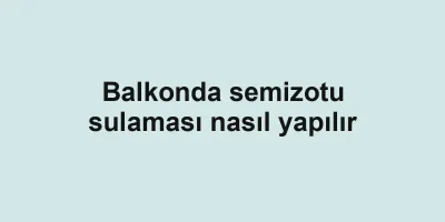 Balkonda semizotu sulaması nasıl yapılır