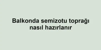 Balkonda semizotu toprağı nasıl hazırlanır