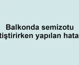 Balkonda semizotu yetiştirirken yapılan hatalar