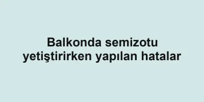 Balkonda semizotu yetiştirirken yapılan hatalar
