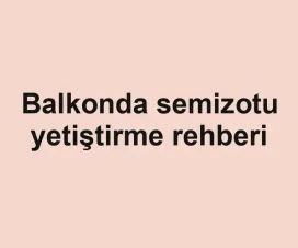 Balkonda semizotu yetiştirme rehberi