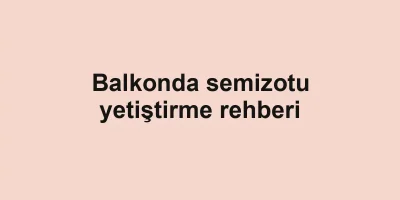Balkonda semizotu yetiştirme rehberi