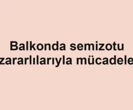 Balkonda semizotu zararlılarıyla mücadele