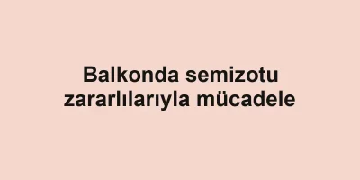 Balkonda semizotu zararlılarıyla mücadele