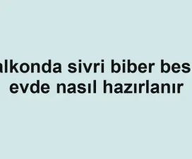 Balkonda sivri biber besini evde nasıl hazırlanır
