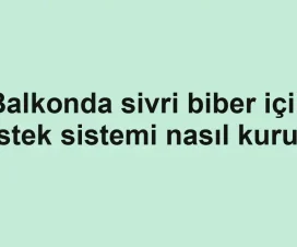 Balkonda sivri biber için destek sistemi nasıl kurulur