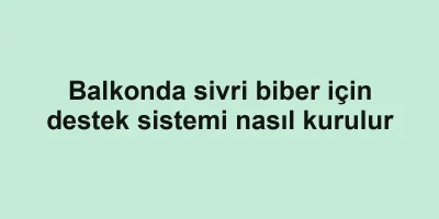 Balkonda sivri biber için destek sistemi nasıl kurulur